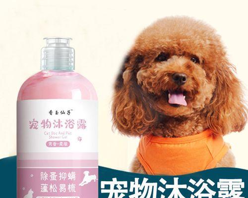 如何正确给宠物狗狗洗澡？