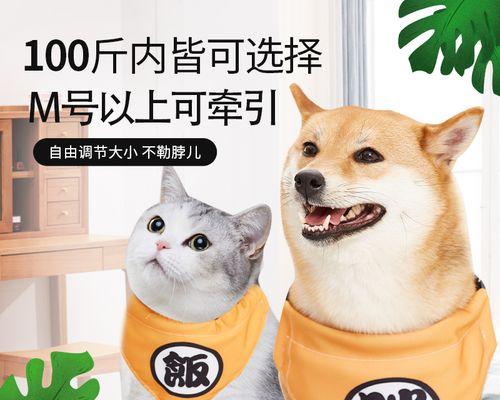 为什么我的柴犬口水变多了？（柴犬口水增多的原因及解决方法）