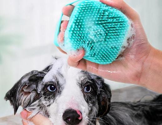 如何正确给宠物狗洗澡（步骤详解，保证宠物健康干净）