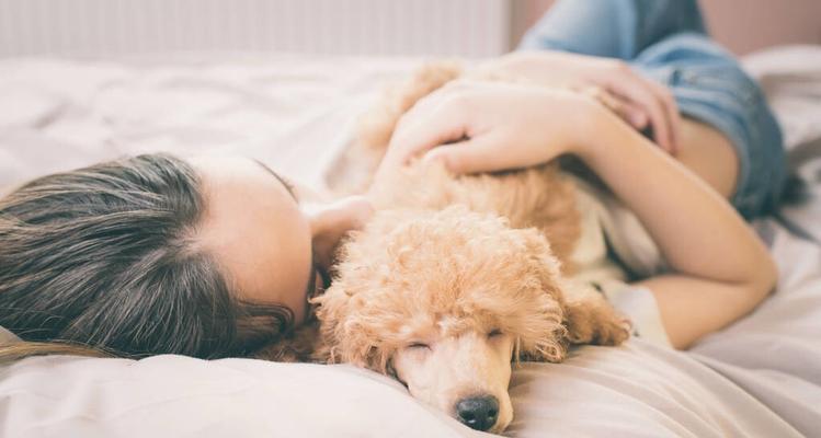 宠物狗和人一起睡觉的利与弊（家中是否适合让狗狗和主人共同入睡？）