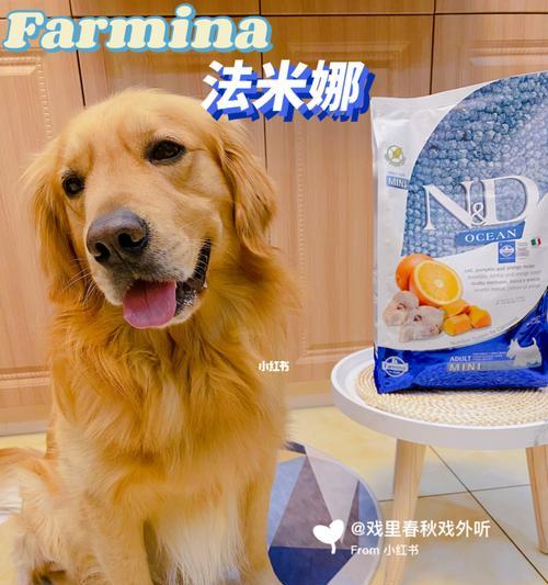 狗粮喂养指南（为你的宠物选择最佳狗粮，健康度过每一天）