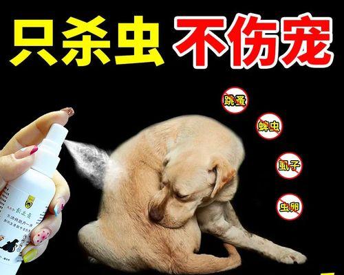 狗狗驱虫，从何时开始？（从幼犬期到成年期，宠物驱虫的重要性与时间规律）