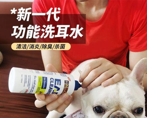 如何给宠物狗狗正确清洁耳朵（步骤详解，让你的宠物健康无忧）