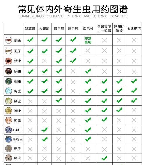 以丝毛梗为宠物的饲养指南（打造健康、快乐的丝毛梗生活）