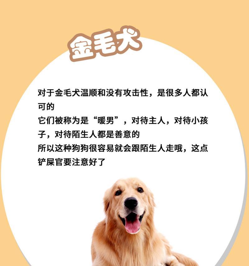 掌握这些养护技巧，让你的以巴哥犬不再发抖（以巴哥犬的养护知识大全，帮助你打造健康可爱的宠物）