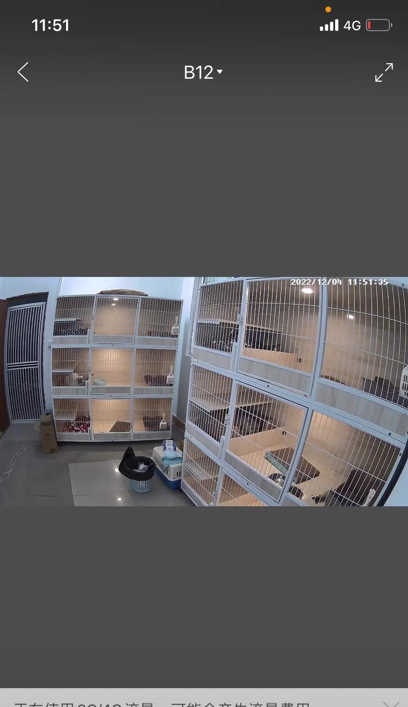 海珠猫咪寄养（宠物的世界，主人的思念，猫咪的寄养和归家）