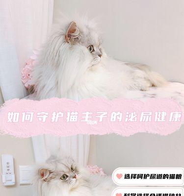 小猫尿道口异常症状详解（探究小猫尿道口浓稠和有脓的原因及治疗方法）