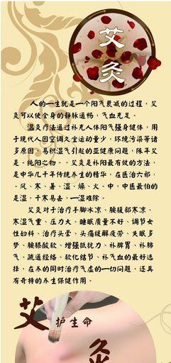 大丹养护指南——以正确的饮食方式喂养你的宠物（注意事项、适当饮食和健康管理的重要性）