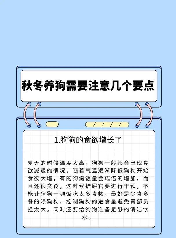京巴换毛注意事项（爱宠饲主必看的京巴换毛小贴士）