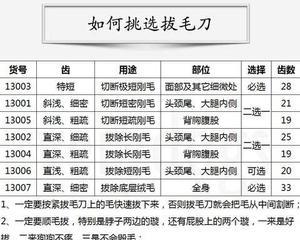 以万能梗美容的重要性——让你的宠物更健康更美丽（发现万能梗美容的秘密和你需要知道的一切）