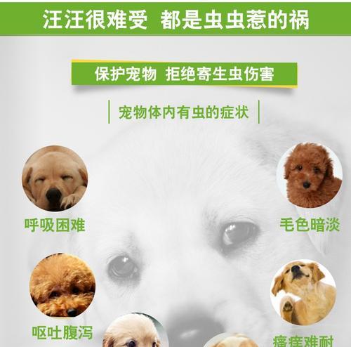 猫咪体内驱虫（宠物的健康不能忽视——猫咪做驱虫的注意事项）