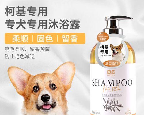 如何在家给泰迪狗狗洗澡（掌握这些小技巧，让洗澡变得更容易）