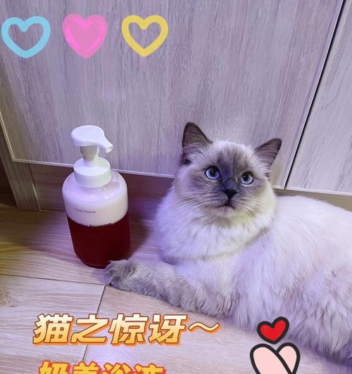 猫咪的理想沐浴露（探寻适合猫咪的沐浴露，呵护宠物的健康）