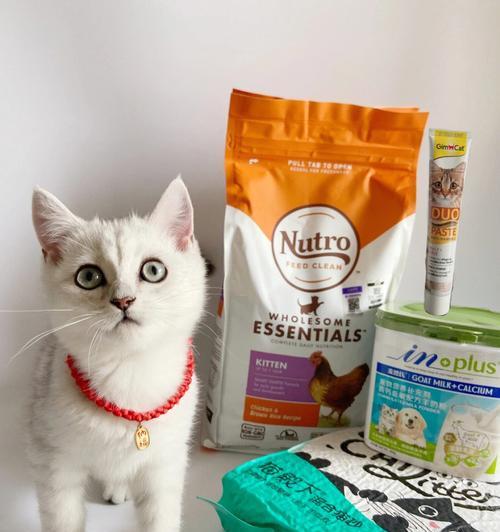 宠爱猫咪从这些生活用品开始（掌握这些必备品，为猫咪营造舒适家居）