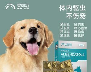 宠物猫咪驱虫注意事项（让爱猫远离害虫的必要措施）
