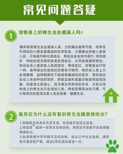 教你如何解决边牧便秘问题（宠物爱护从小事做起）
