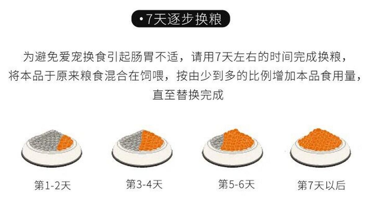 荷叶陆龟的饲养全指南（了解如何正确照顾你的荷叶陆龟）