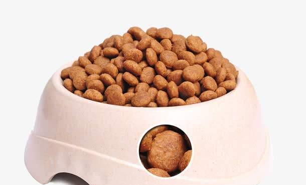 40天的法斗狗粮饮食指南（如何合理安排狗粮喂养，让宠物健康成长？）