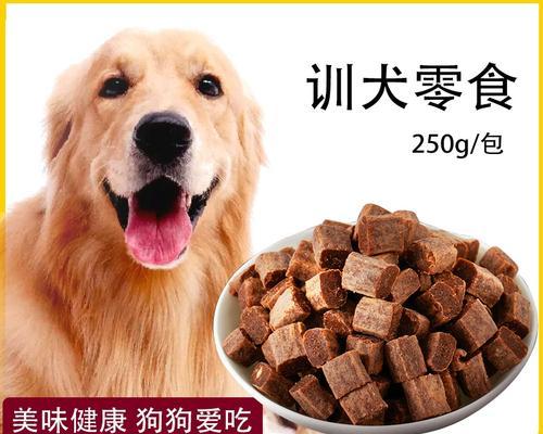 如何训练金毛小狗成为听话的宠物？（从基础训练到高级技巧，一步步教你如何培养金毛小狗的好习惯）