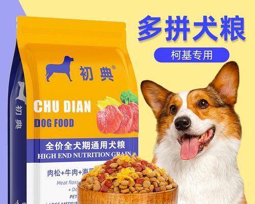 以比熊犬为例，了解宠物消化问题（探究比熊犬的消化系统构造和日常饮食，）
