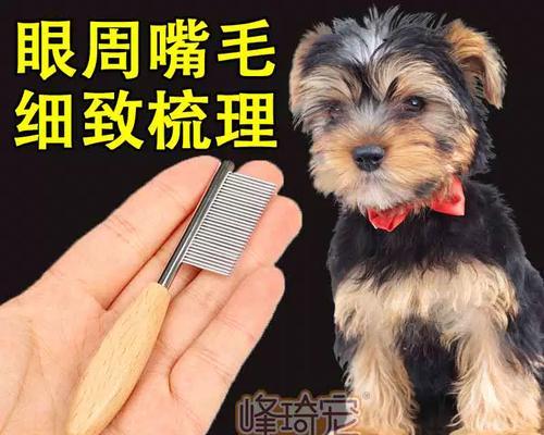 如何让你的约克夏成为最美宠物（美容小技巧让你的约克夏更加迷人）