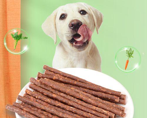 金毛犬训练指南（从几个月开始训练，让你的宠物成为训练达人）