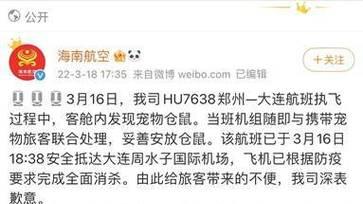 缅甸星龟的饲养方法（养护小技巧，让你轻松养龟）