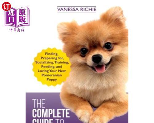 如何正确饲养博美犬（从宠物的角度出发，打造健康快乐的生活）