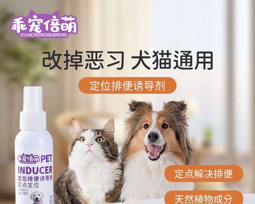 如何改掉狗狗的四大恶习（让宠物更懂礼仪，）