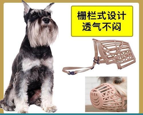 雪纳瑞饮食指南（如何为你的宠物提供健康的饮食？）