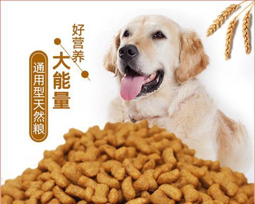 选择适合小狗的狗粮品牌（如何为小狗选择最佳营养狗粮）