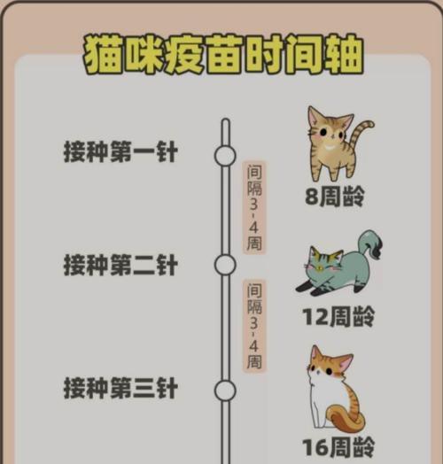 探秘阿拉莫泥龟的饲养方法（打造舒适的家，让它健康成长）