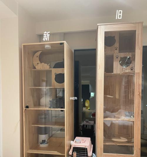 如何让猫咪不再抓家具？（宠物的行为如何影响家具？如何引导猫咪正确的抓爪习惯？）