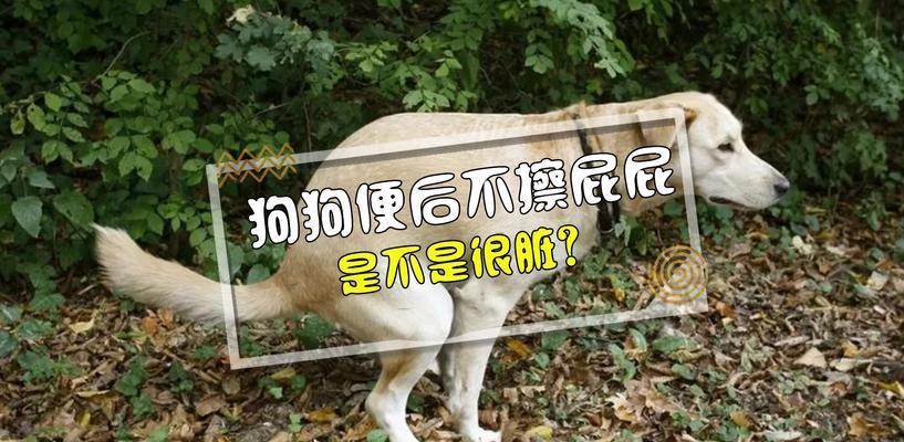 狗狗便秘怎么办？（如何解决宠物大便困难问题）