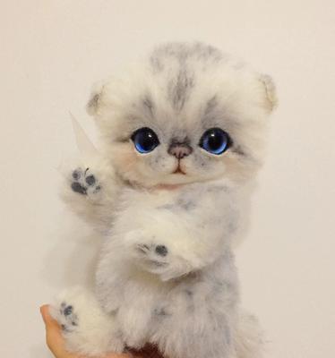 如何护理折耳猫的毛发（掌握折耳猫毛发护理技巧，让你的宠物更健康）
