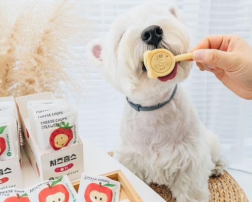 宠物狗不宜食用的水果有哪些？（了解这些禁忌水果，让你的爱犬远离麻烦）