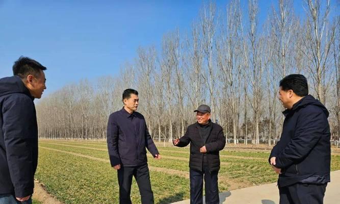 豫丰黄兔的饲养全攻略（建立良好的饲养环境，关注细节，让豫丰黄兔健康成长）