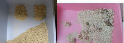 猫咪尿闭引起呕吐物黄色的原因与处理方法（如何分辨猫咪是否患有尿闭症以及对其进行及时救治）