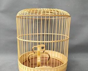 如何饲养健康的凤头百灵（全面掌握饲养技巧，让爱鸟健康快乐）