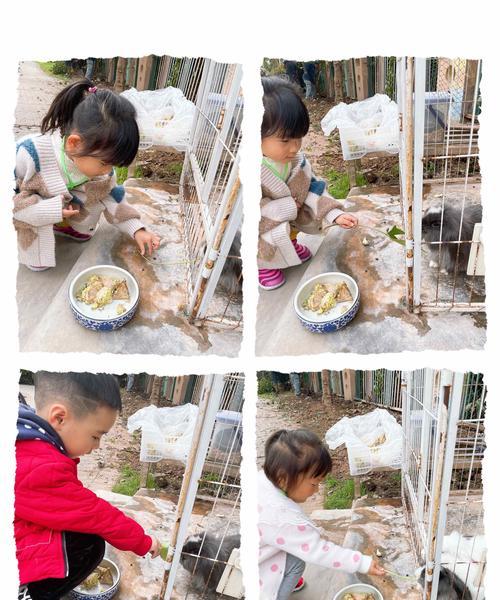 小兔猼的饲养方法