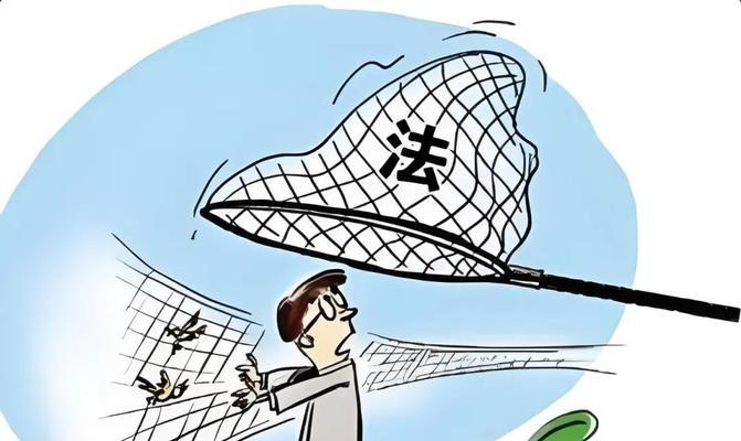 北朱雀的饲养方法（让宠物生活更加健康和快乐的关键）