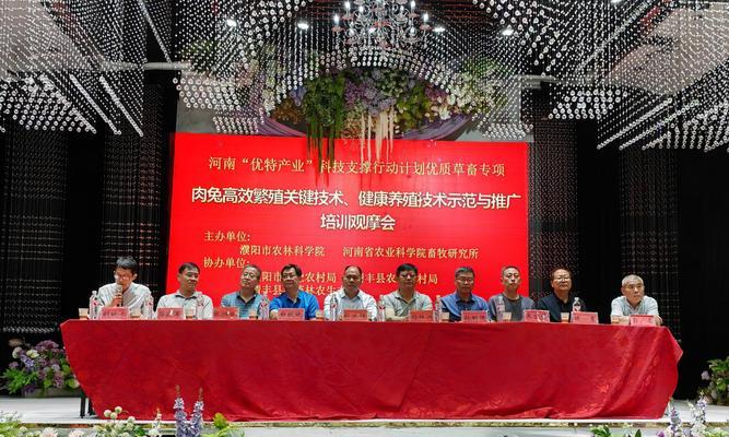 豫丰黄兔的饲养方法详解（从饲料到疫病防治，一步步教你如何养好黄兔）