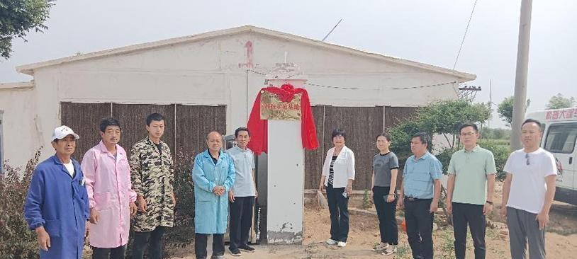 豫丰黄兔的全面饲养指南（掌握这些技巧，让你的兔子更健康快乐）