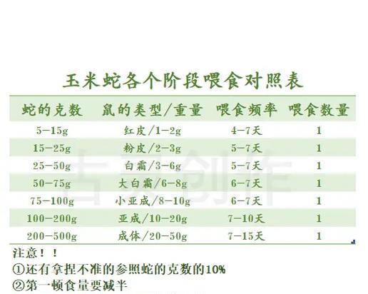 如何正确饲养卡南犬（从日常护理到健康饮食，一步步教你打造健康宠物生活）