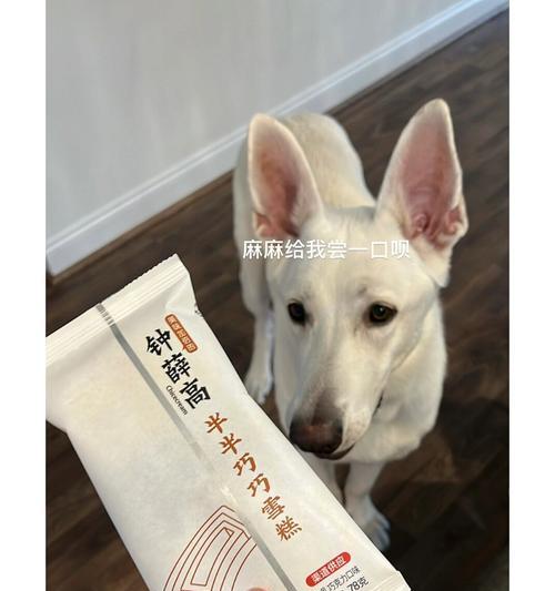 成年德牧一天应该吃多少？（掌握正确的喂养量让你的宠物更健康）