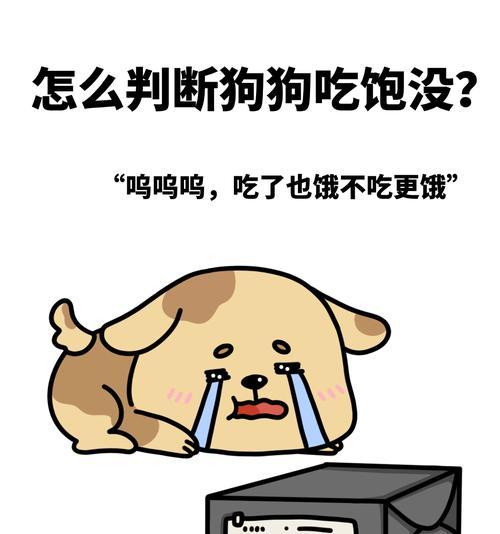 如何鉴定狗狗的健康状况（掌握这些方法，让宠物更健康）
