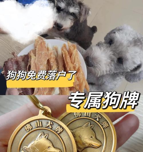 办理狗狗免疫证攻略（轻松了解办理狗狗免疫证的步骤和注意事项）