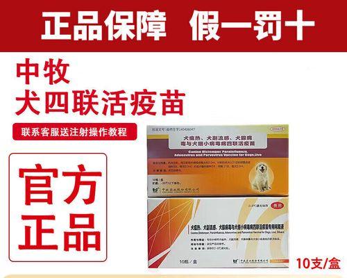 狗狗为什么会翻肠子？怎么办？（教你如何避免狗狗翻肠子及处理方法）