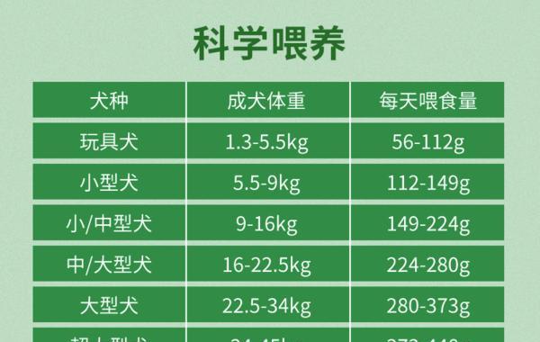 如何补充成犬所需的营养素（为您的成犬提供均衡的营养，让它健康快乐）