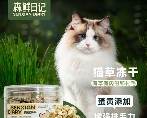 用猫毛做成小猫——一件充满爱和创意的手工艺品（如何将可爱的猫毛变身为身体柔软、神态逼真的小猫？）